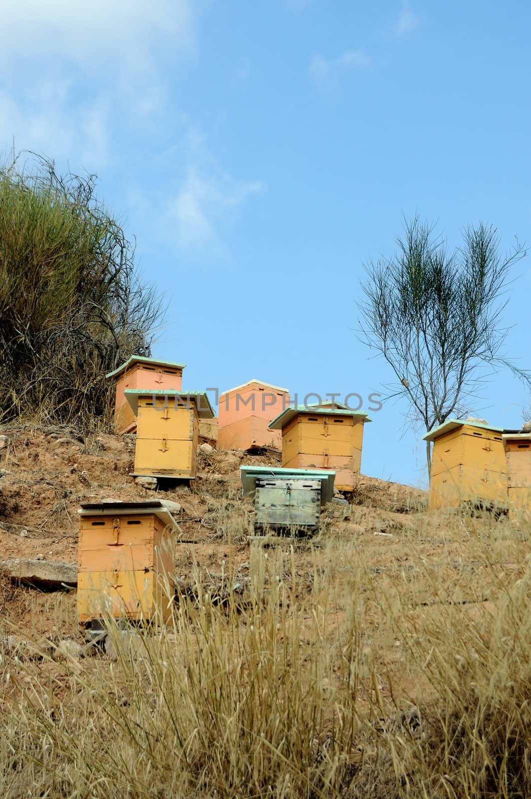 Wooden man made beehive boxes in a forest. Honey production.
