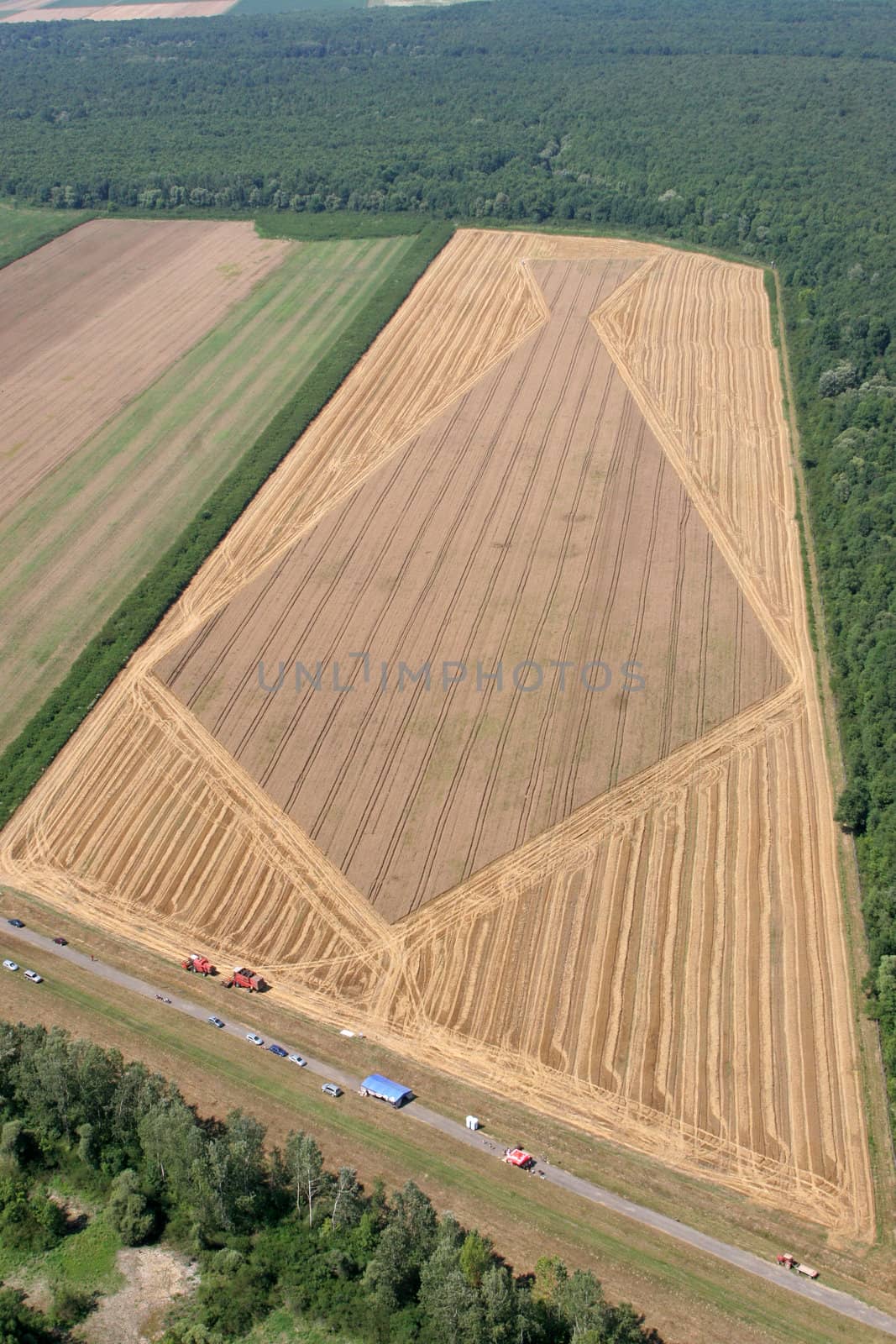 Aerial View: Golden Wheat field