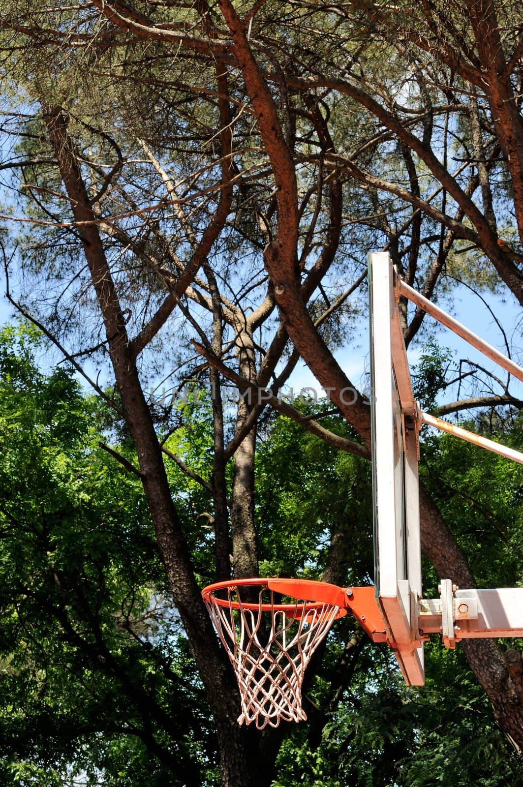 Outdoor basketball dunk with trees in the background