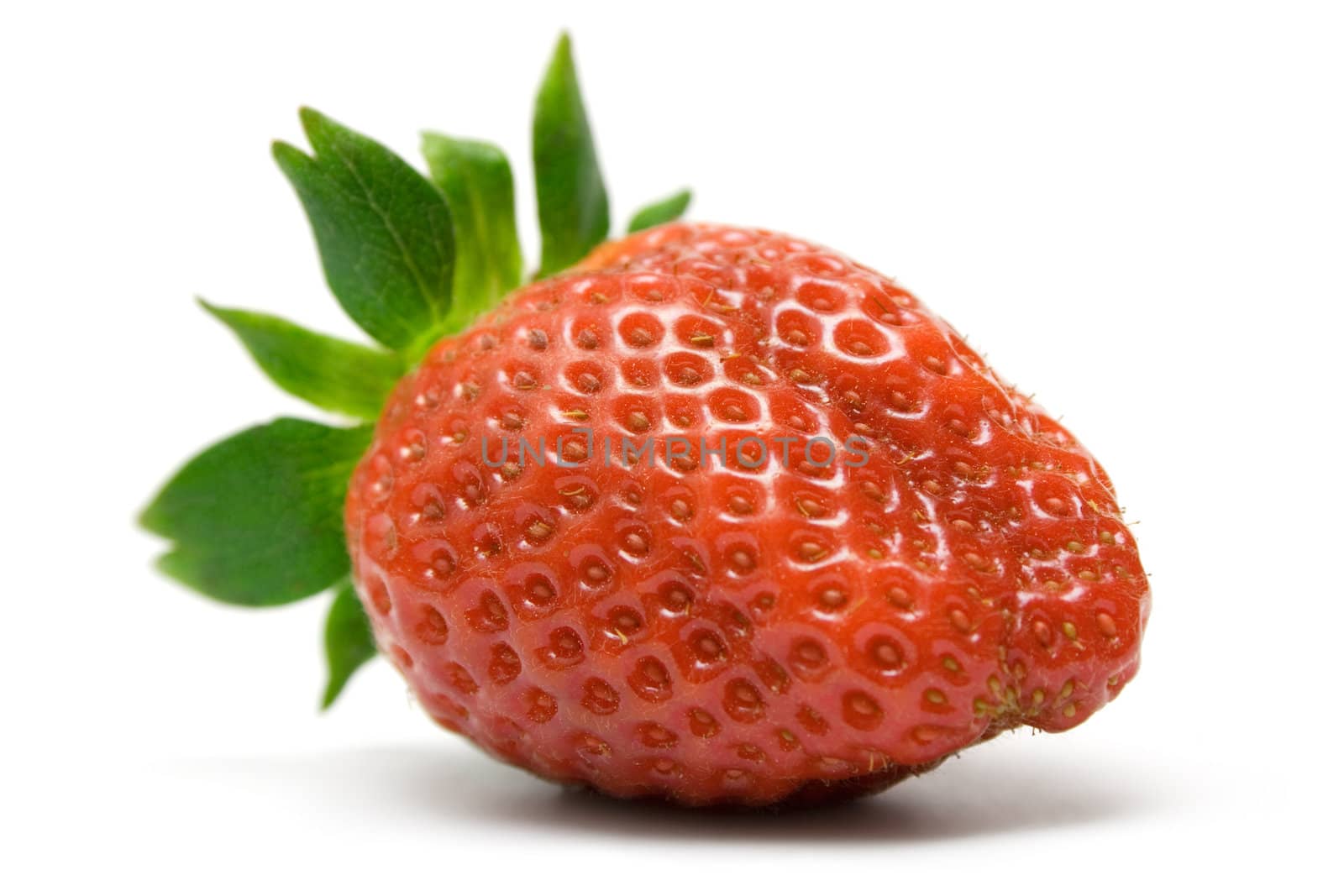 Single Strawberry by winterling
