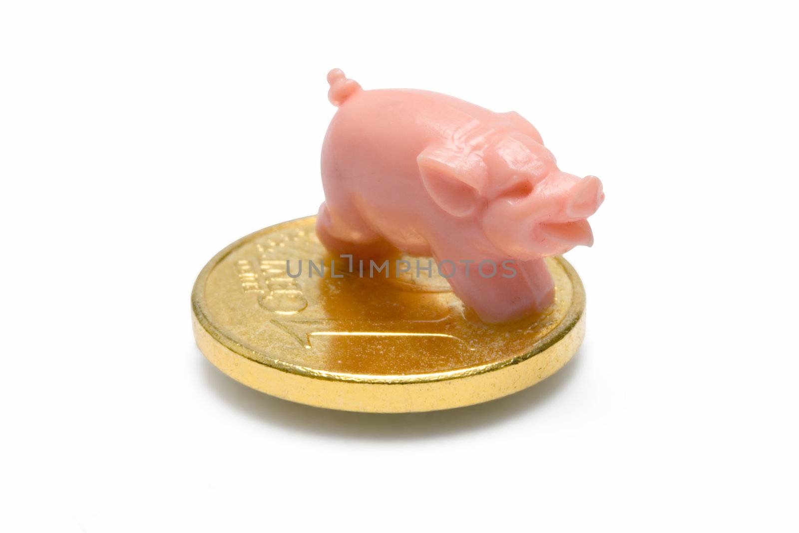 Small pig standing on a coin. Isolated on white.
