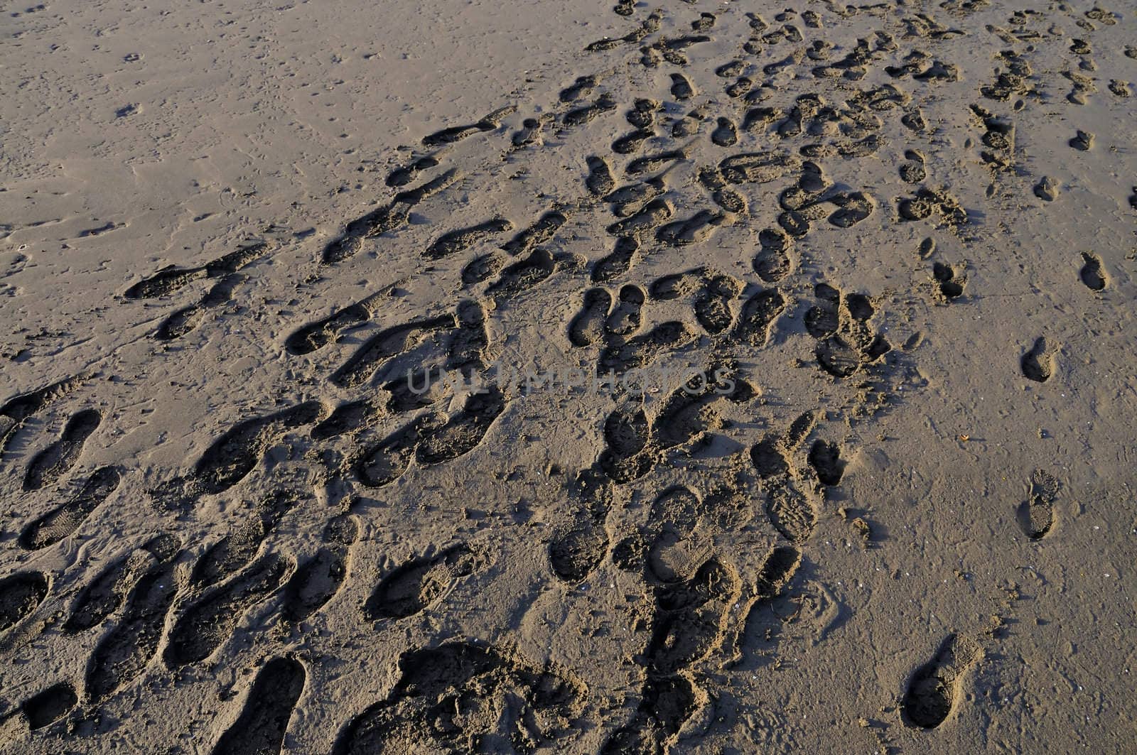 Foot prints on a sandy beach by Sevaljevic
