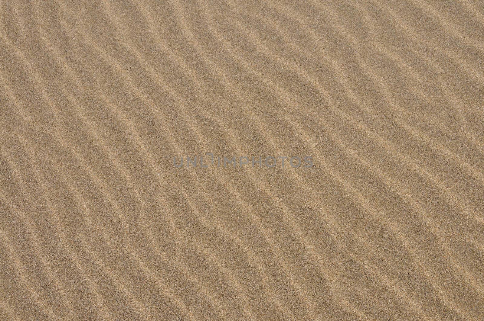 Sand pattern, interesting abstract texture