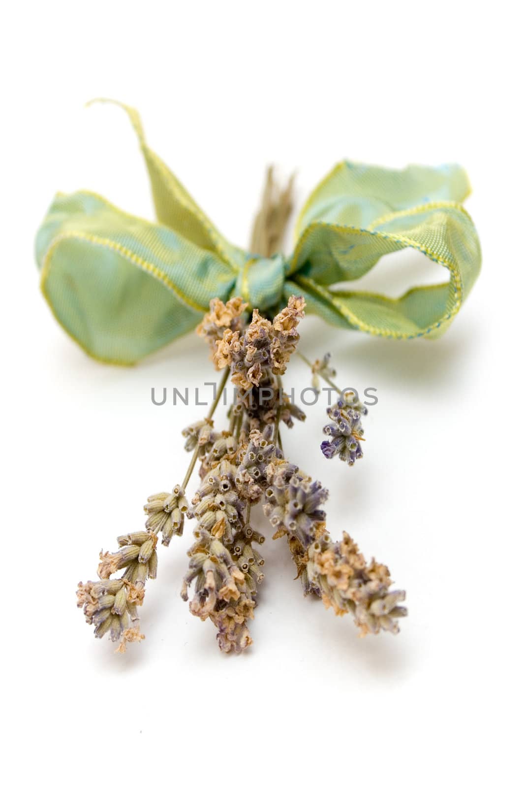 Decorative bunch of dried aromatic lavender isolated on a white background. Shallow depth of field.