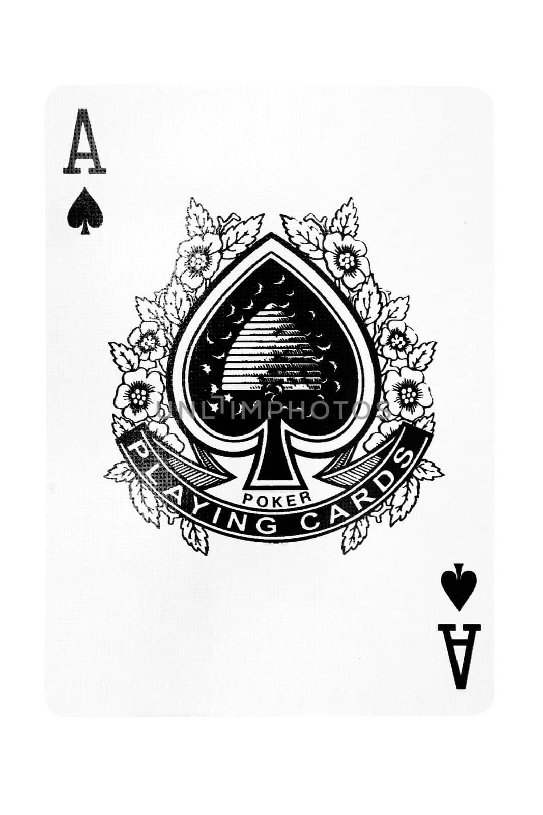 Ace of Spades with Clipping Path by winterling