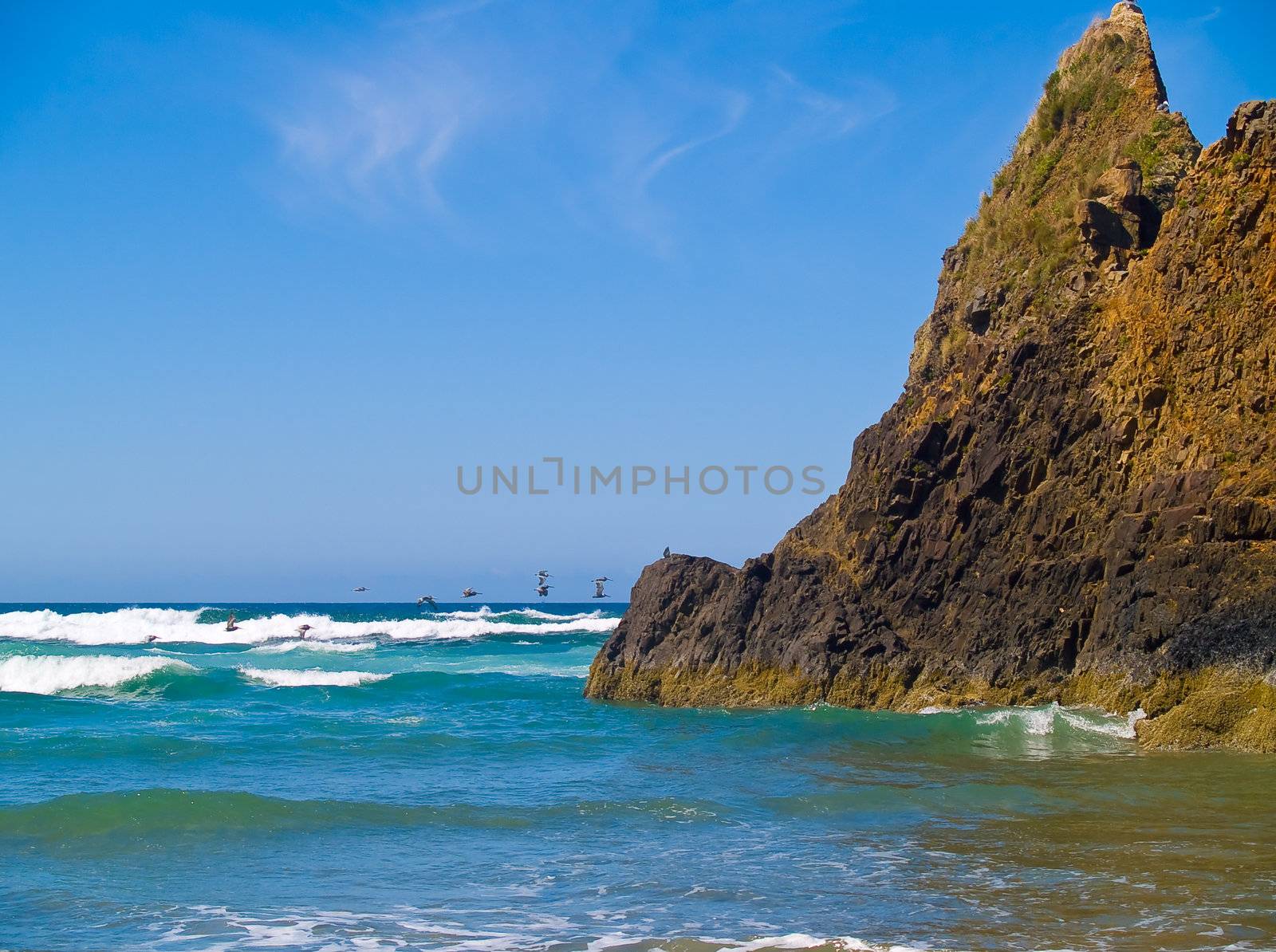 Rugged Rocky Beach on the Oregon Coast by Frankljunior