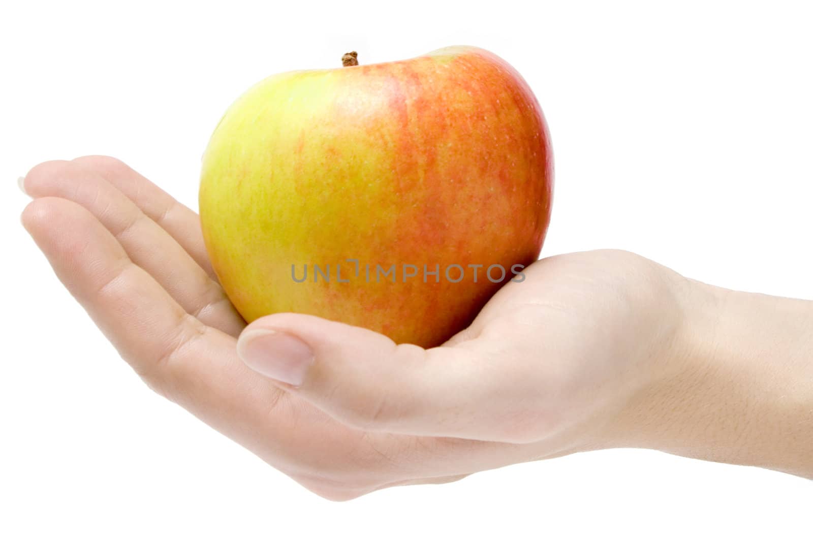 Female hand presenting a colorful apple. Isolated on a white background.
