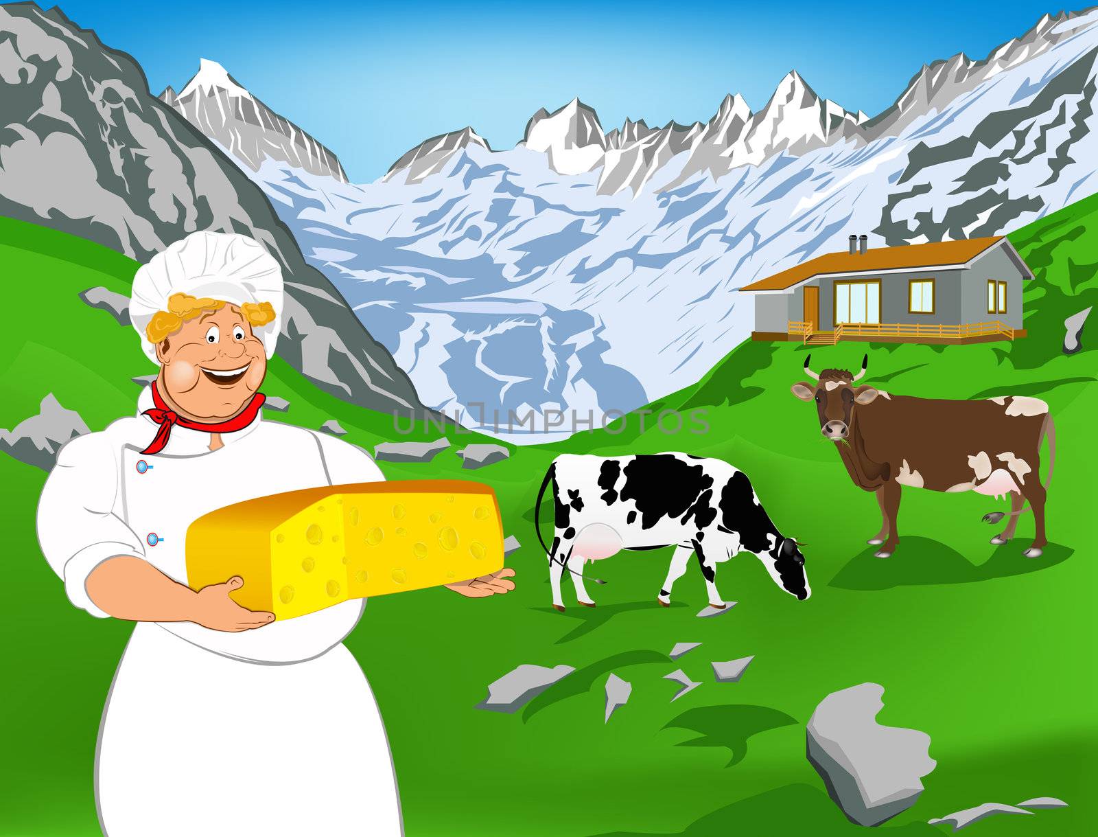 Chef and Natural swiss dairy cheese from cow with alps meadow