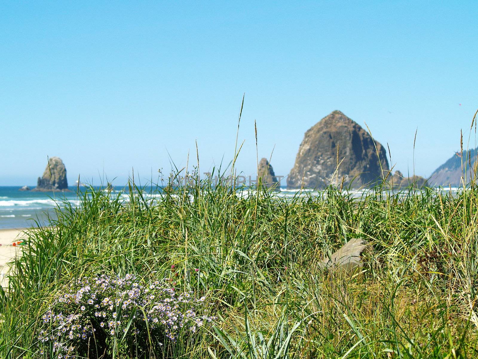 Rugged Rocky Beach on the Oregon Coast featuring Haystack Rock