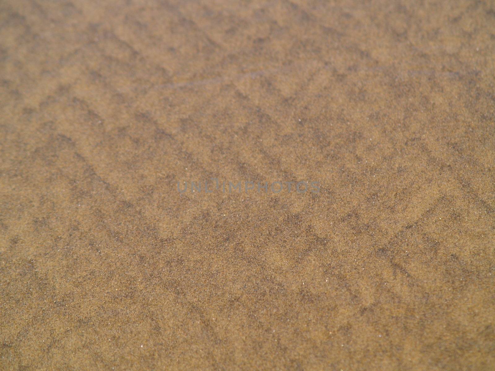 Colored Sand Patterns Created by Waves and Wind