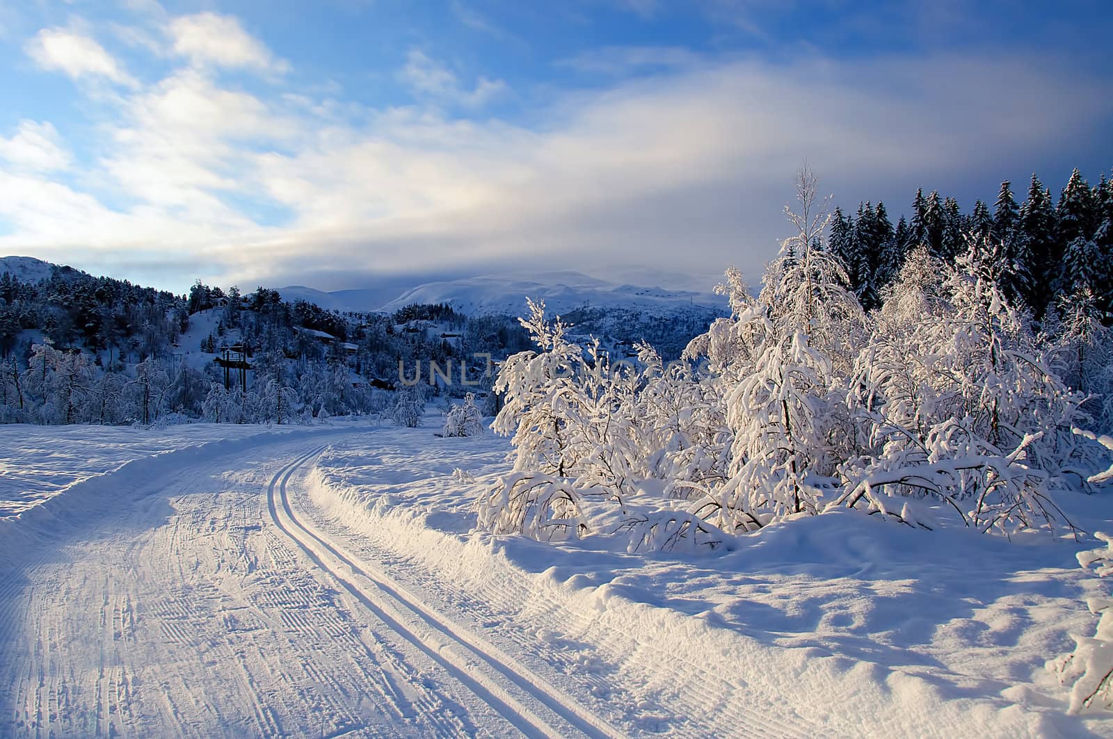 Ski track in winter wonderland by GryT