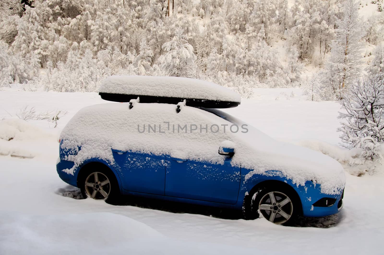 A blue car covered in snow in the forest