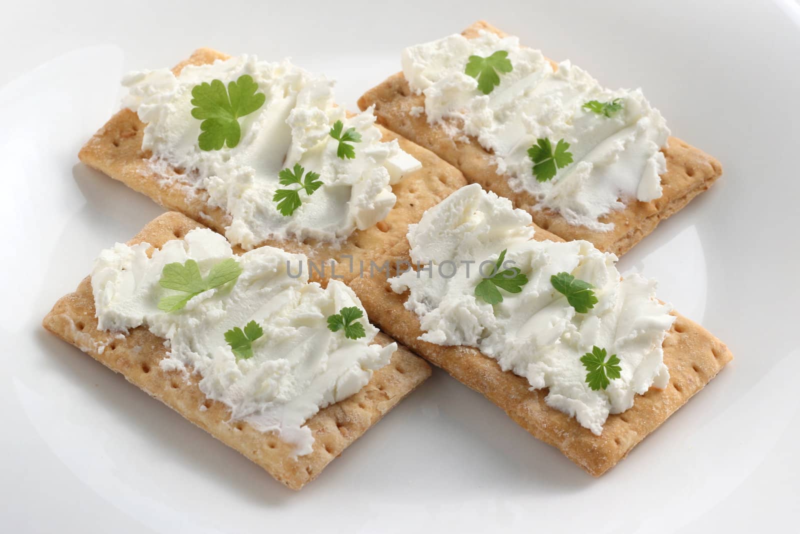 toasts with cottage cheese