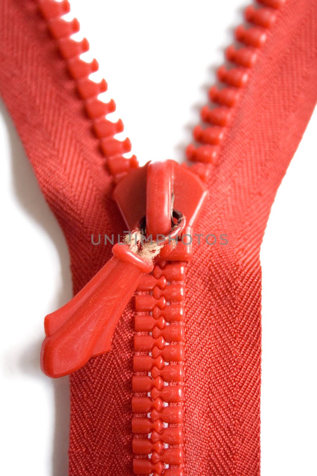 Red Zipper by winterling