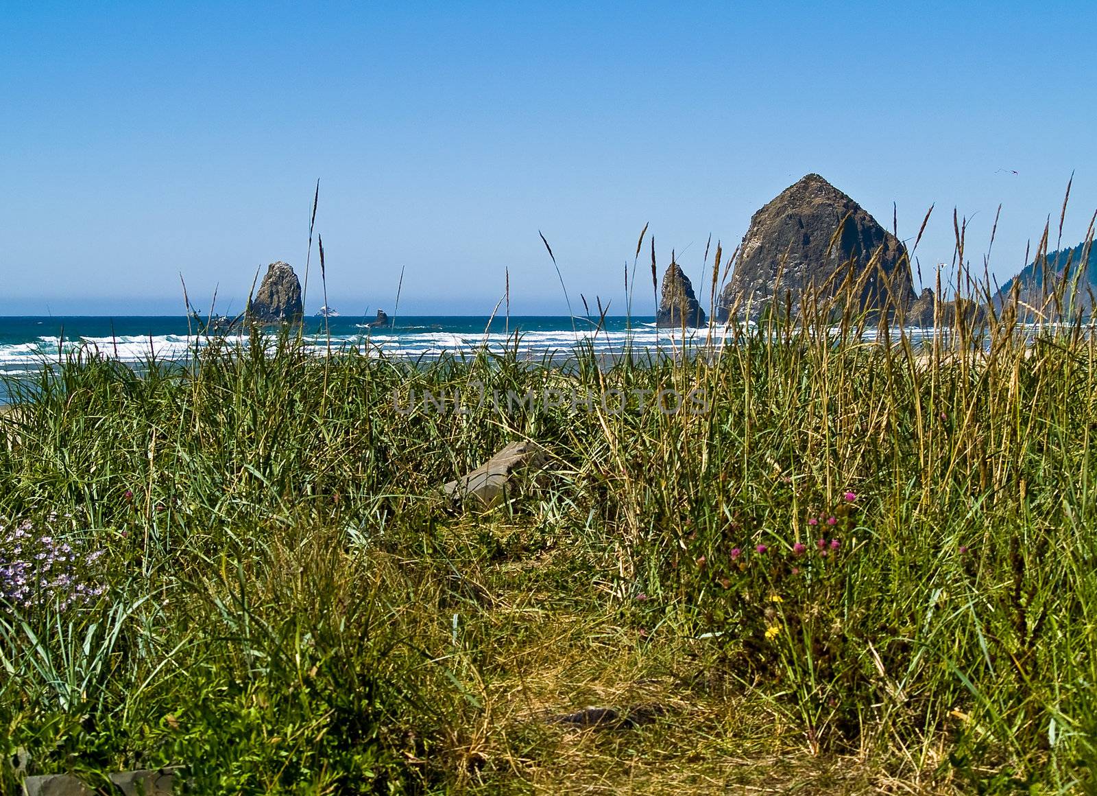 Rugged Rocky Beach on the Oregon Coast featuring Haystack Rock by Frankljunior