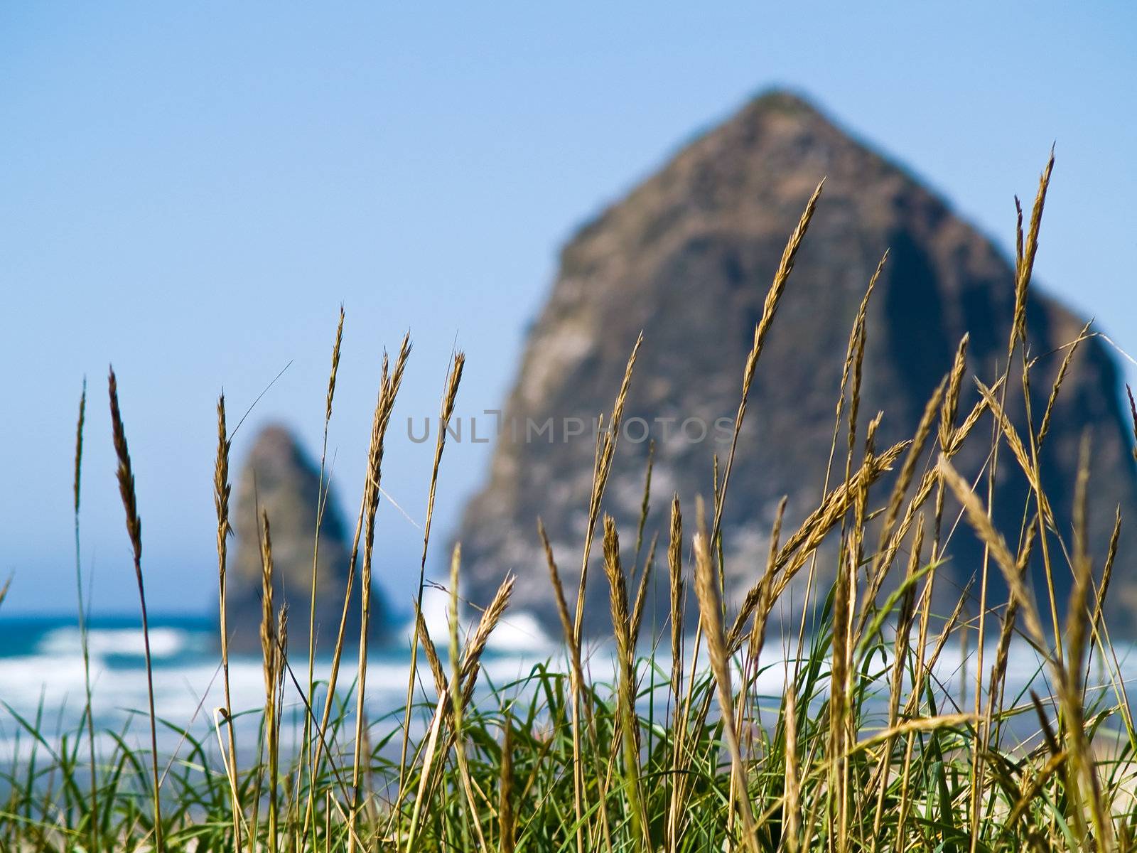 Rugged Rocky Beach on the Oregon Coast featuring Haystack Rock by Frankljunior