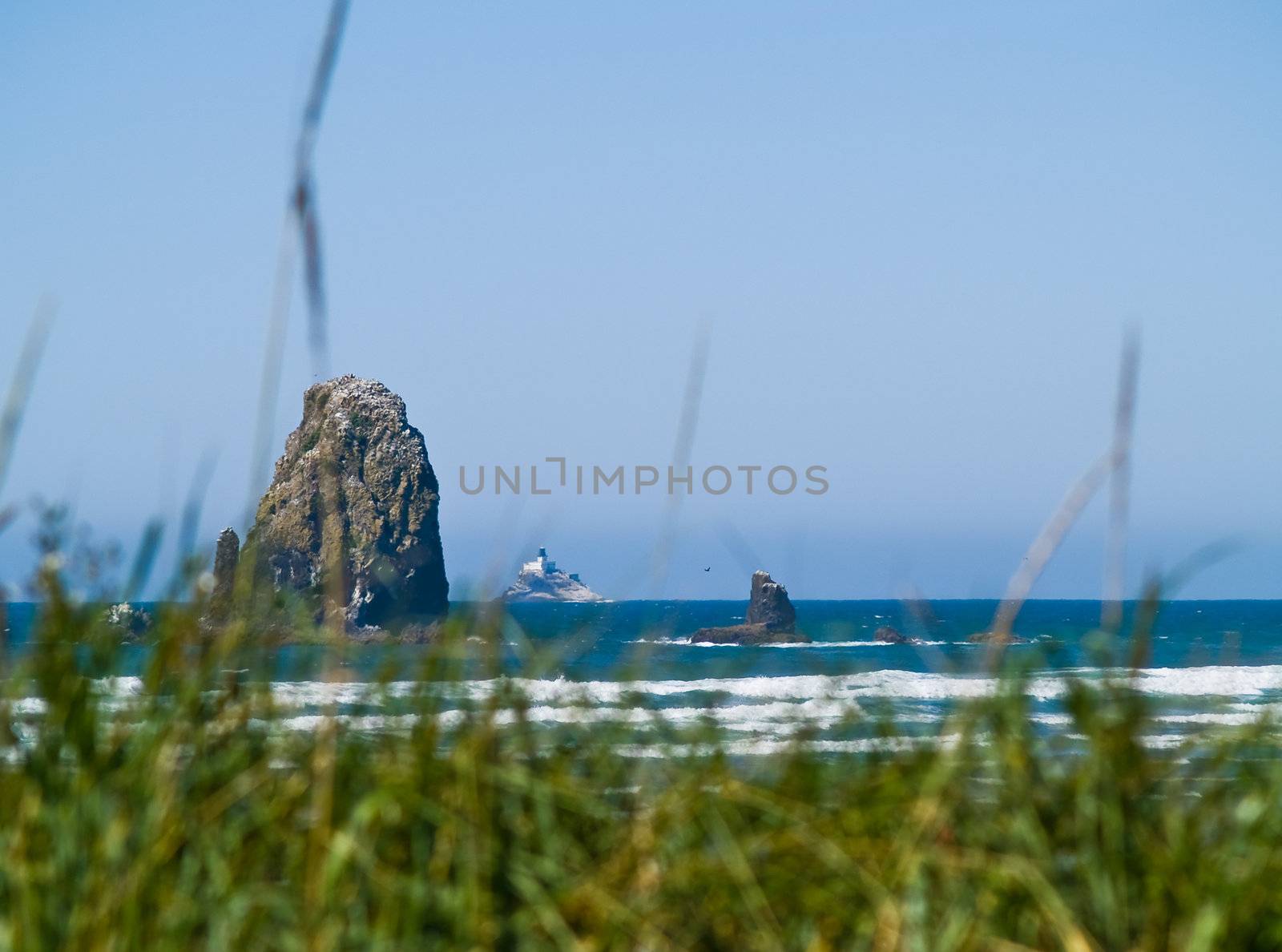 Rugged Rocky Beach on the Oregon Coast featuring Haystack Rock