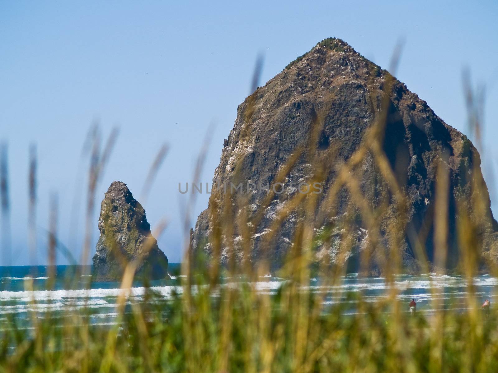Rugged Rocky Beach on the Oregon Coast featuring Haystack Rock by Frankljunior