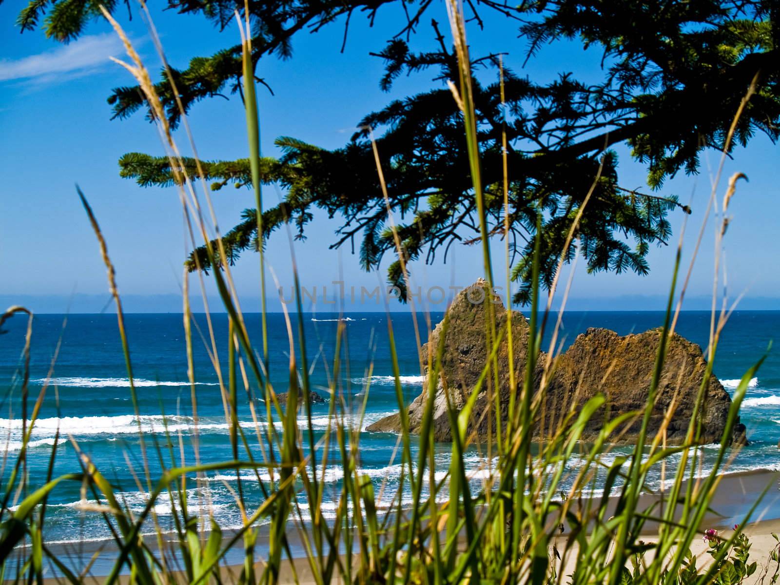 Rugged Rocky Beach on the Oregon Coast Overlook by Frankljunior