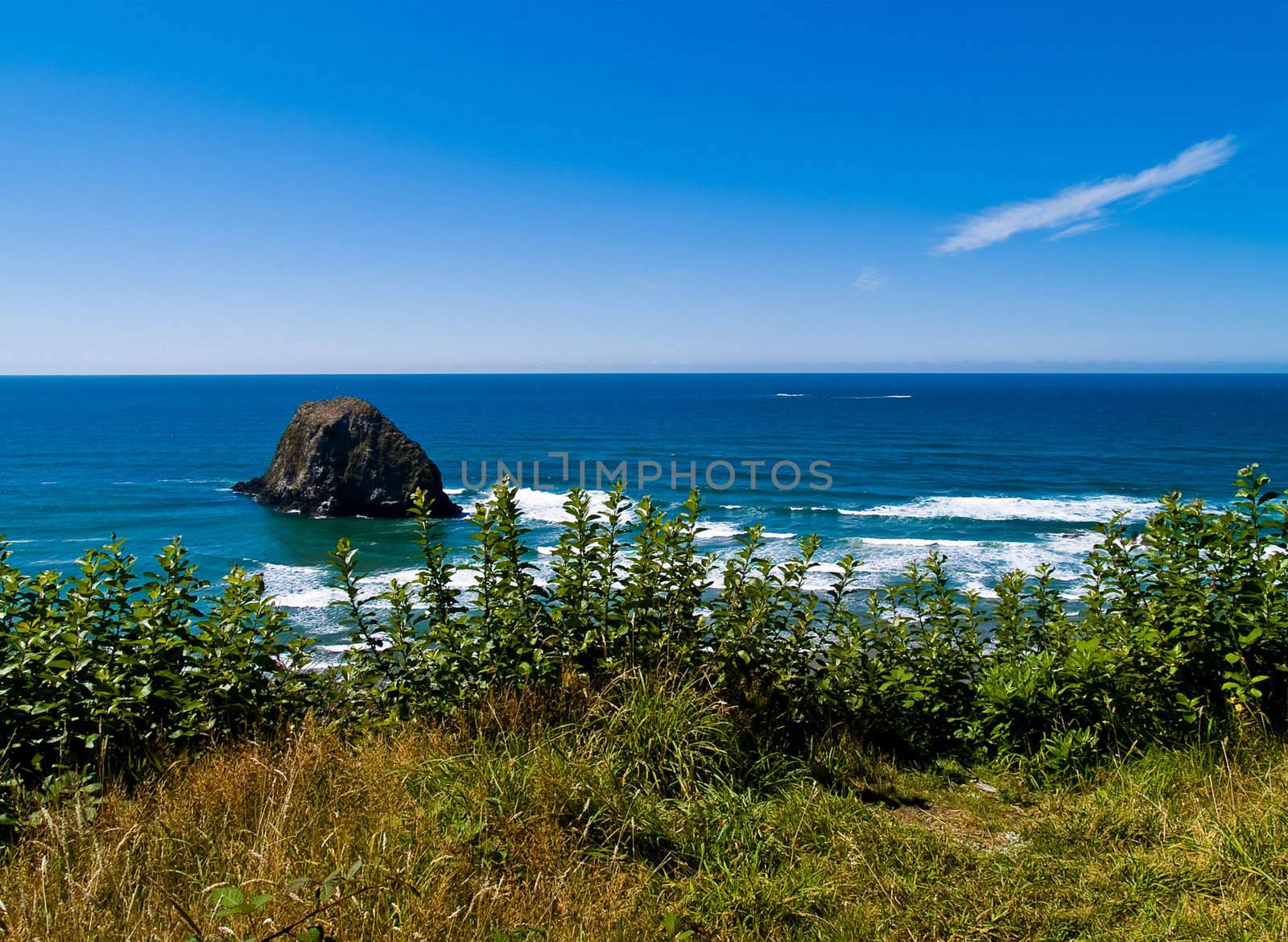 Rugged Rocky Beach on the Oregon Coast Overlook by Frankljunior