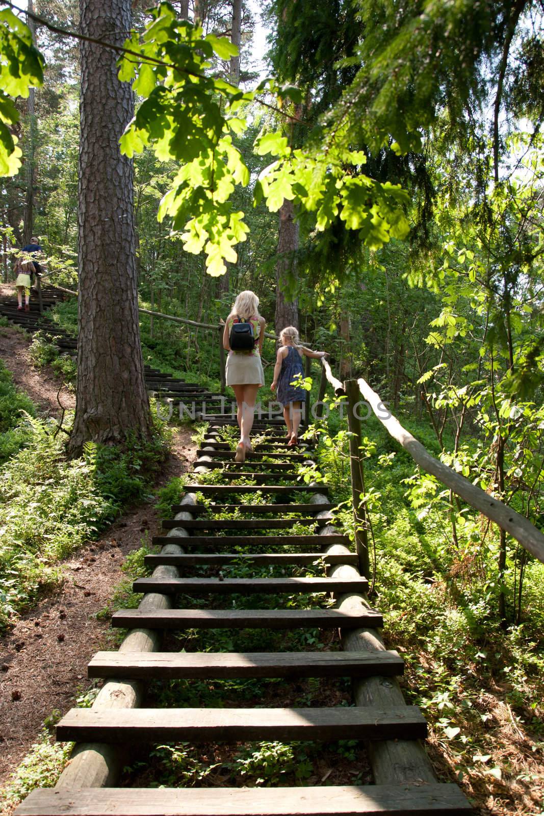 Wooden stairs on a hiking trail in a forest