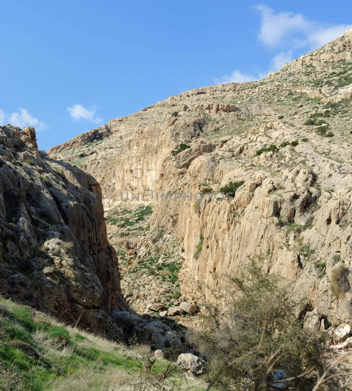 Desert mountain valley of Nachal Prat creek in spring