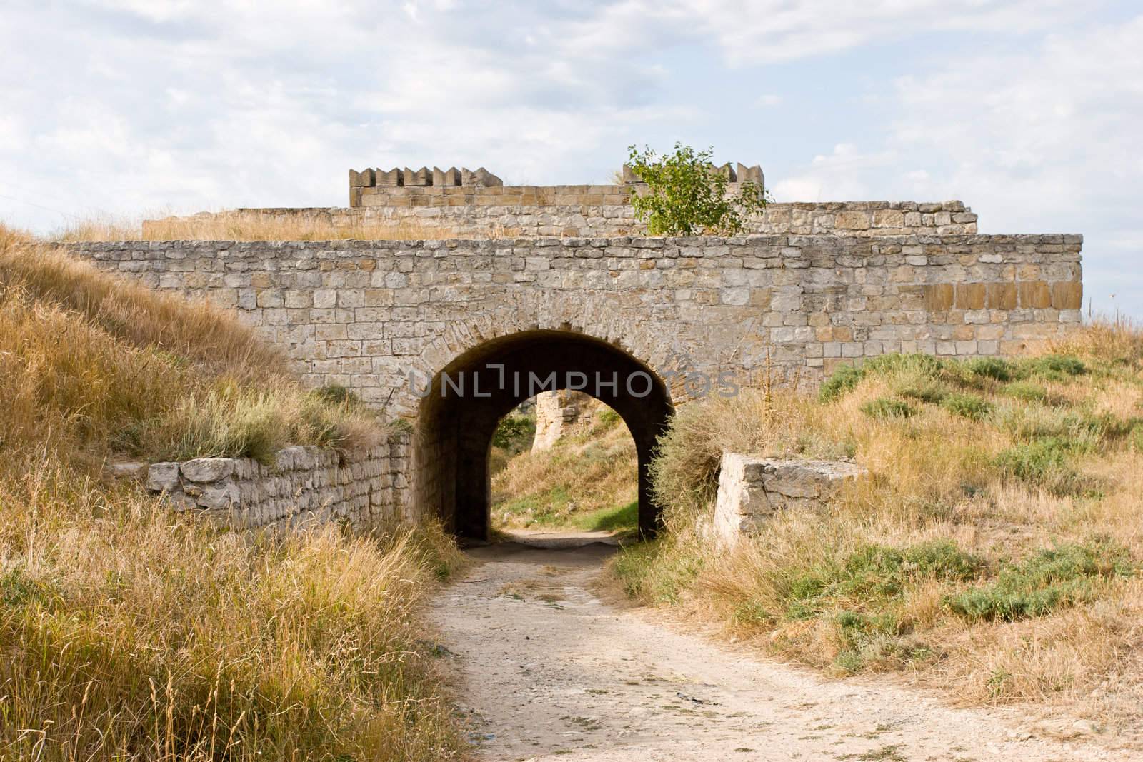 ancient series: archeological dig of very old ruins