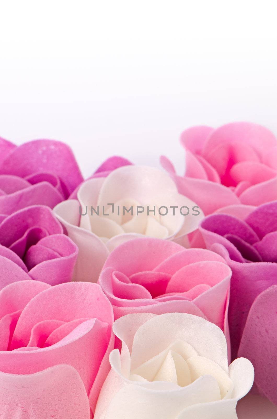 Pink, purple and white beautiful luxury soap roses background.