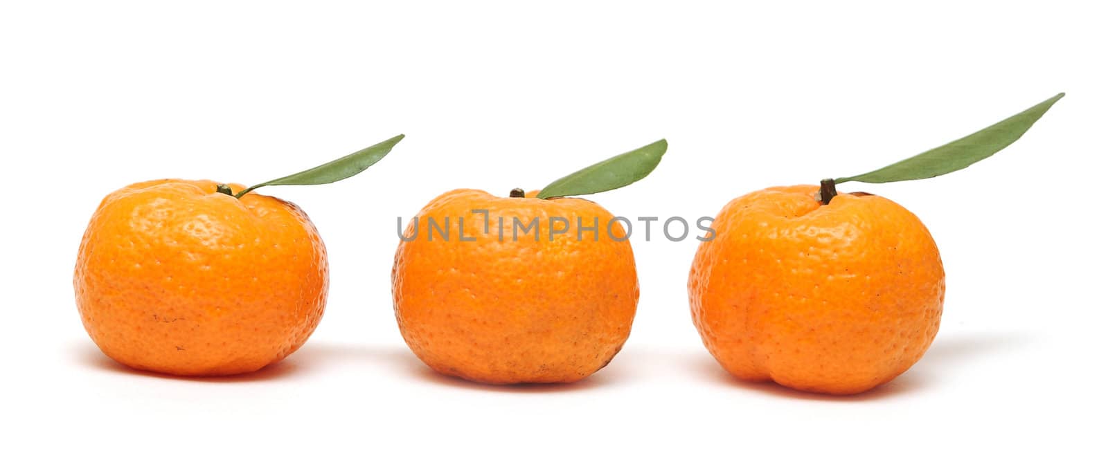 Three ripe tangerines with leaves