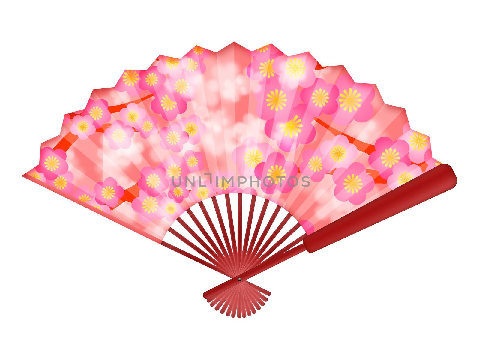 Chinese Folding Fan with Cherry Blossom Flowers in Spring Illustration Isolated on White Background