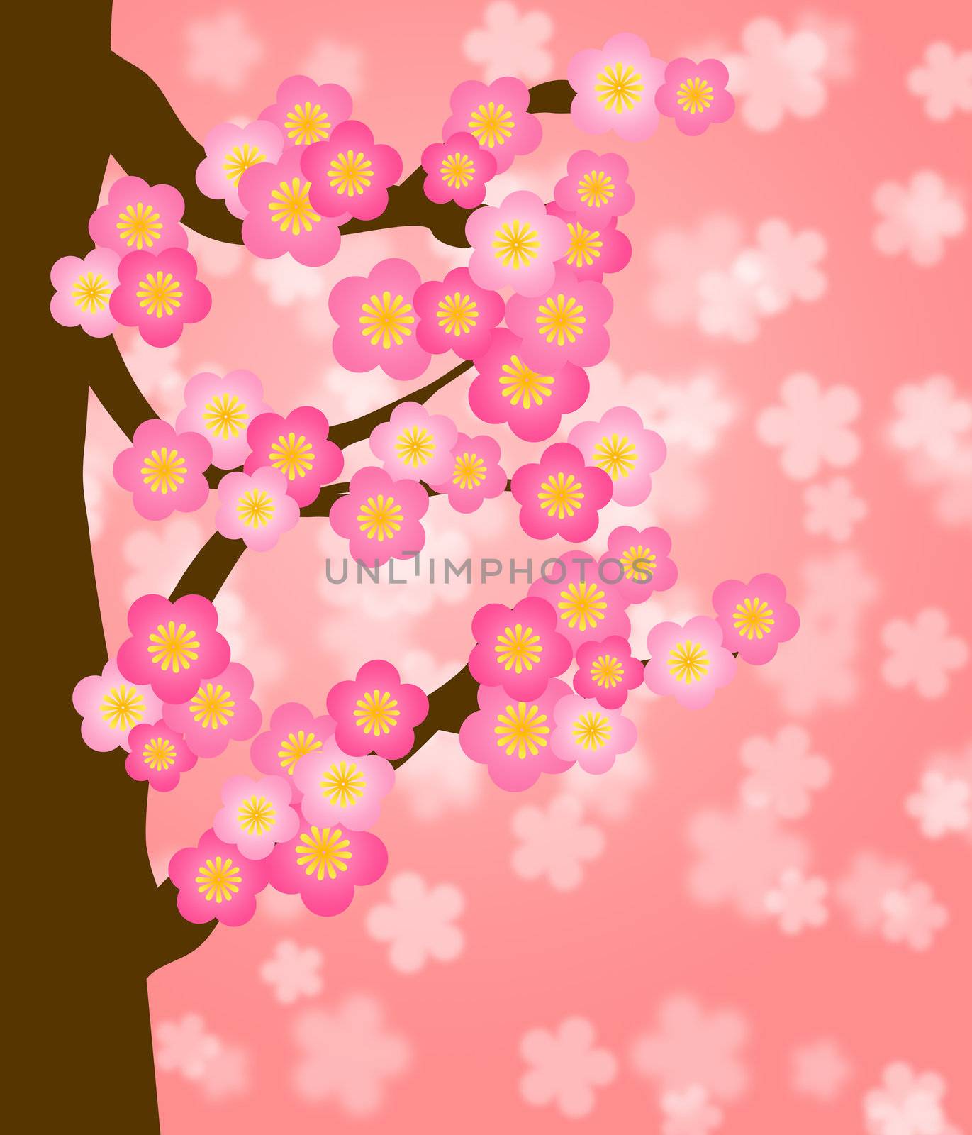 Flowering Cherry Blossom Tree in Spring by jpldesigns