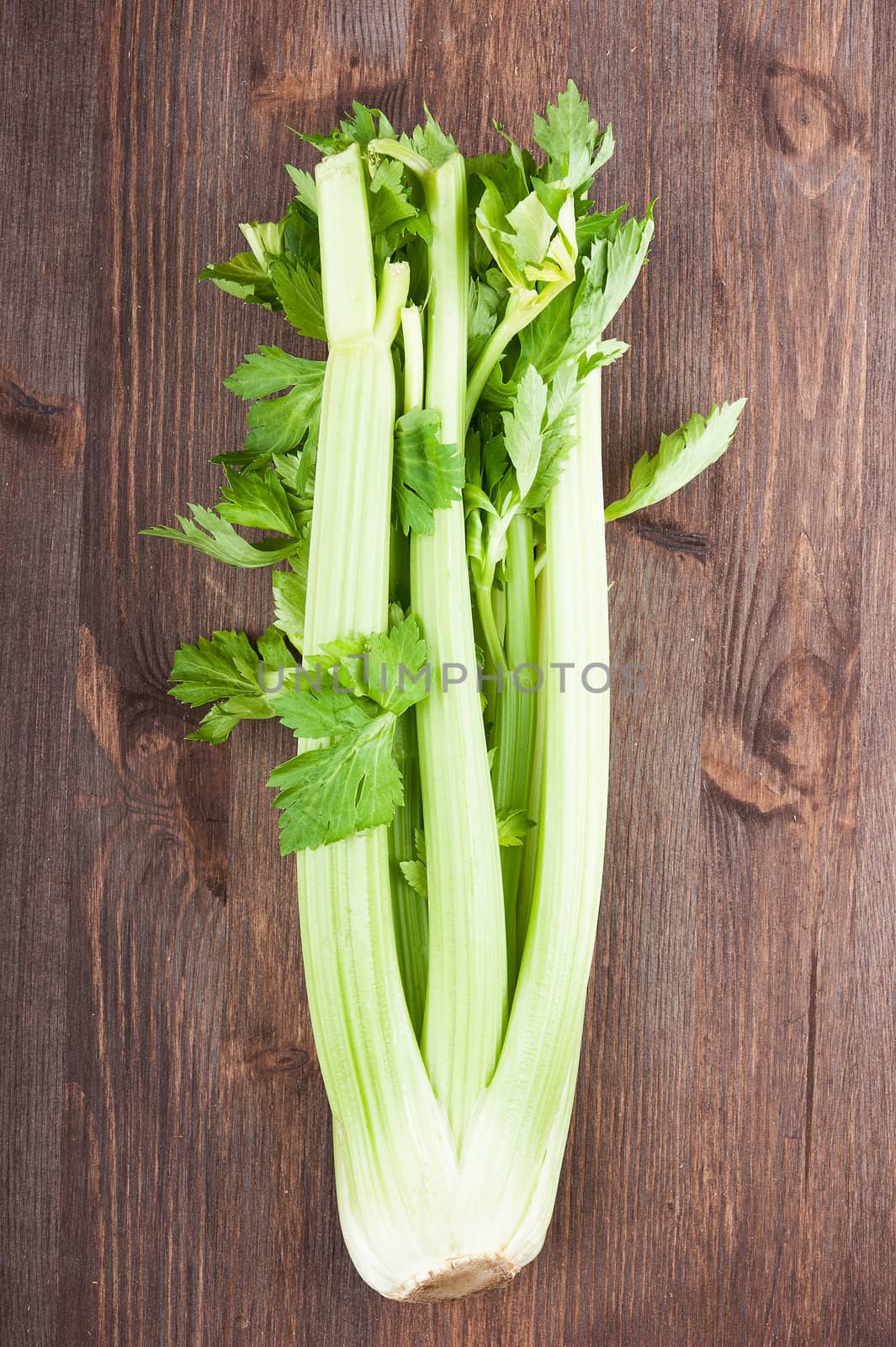 Bunch celery on the dark wooden background