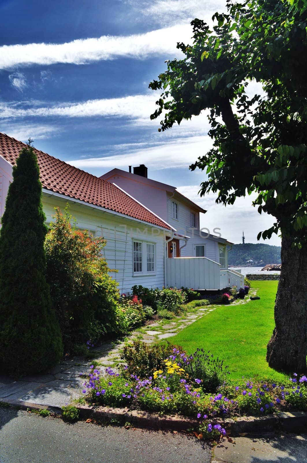 Traditional norwegian wooden house