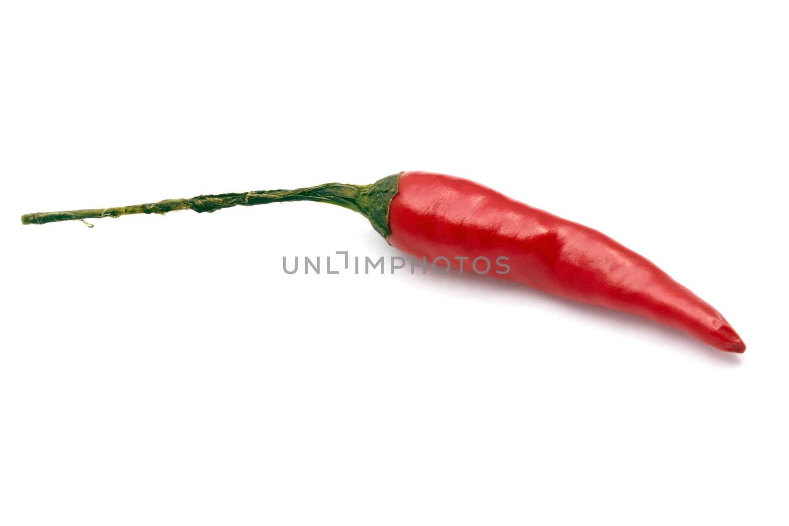 Fresh red chilli isolated on white background