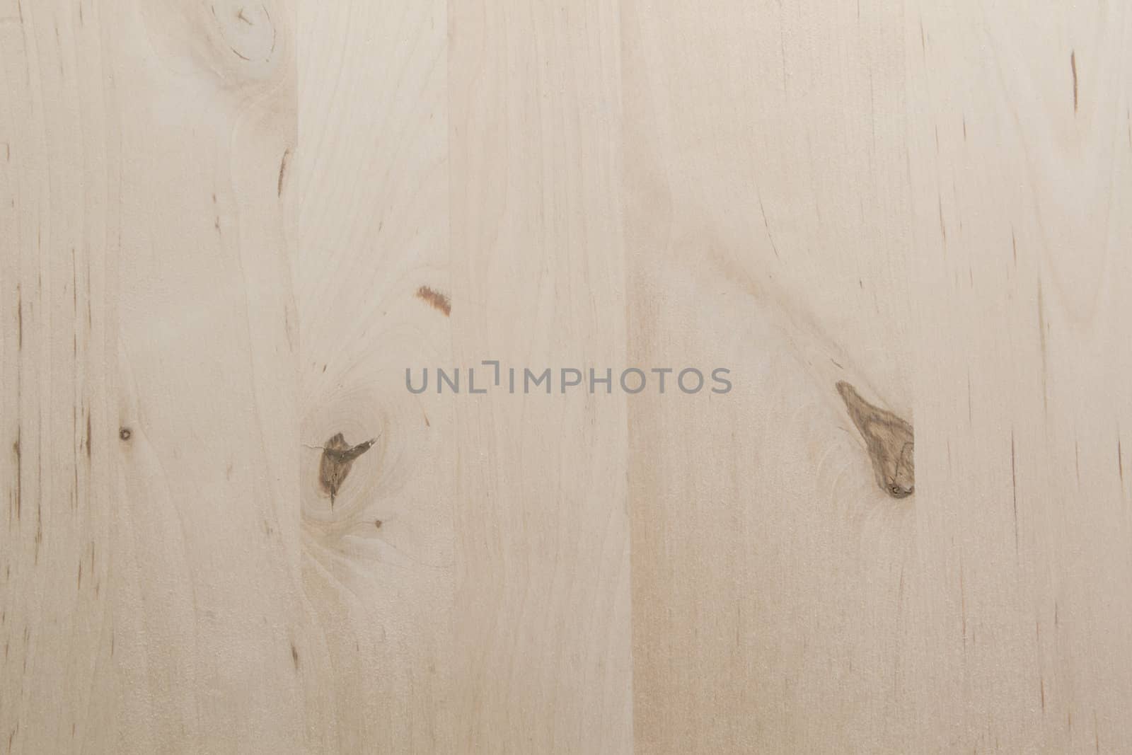 Texture of wood background closeup