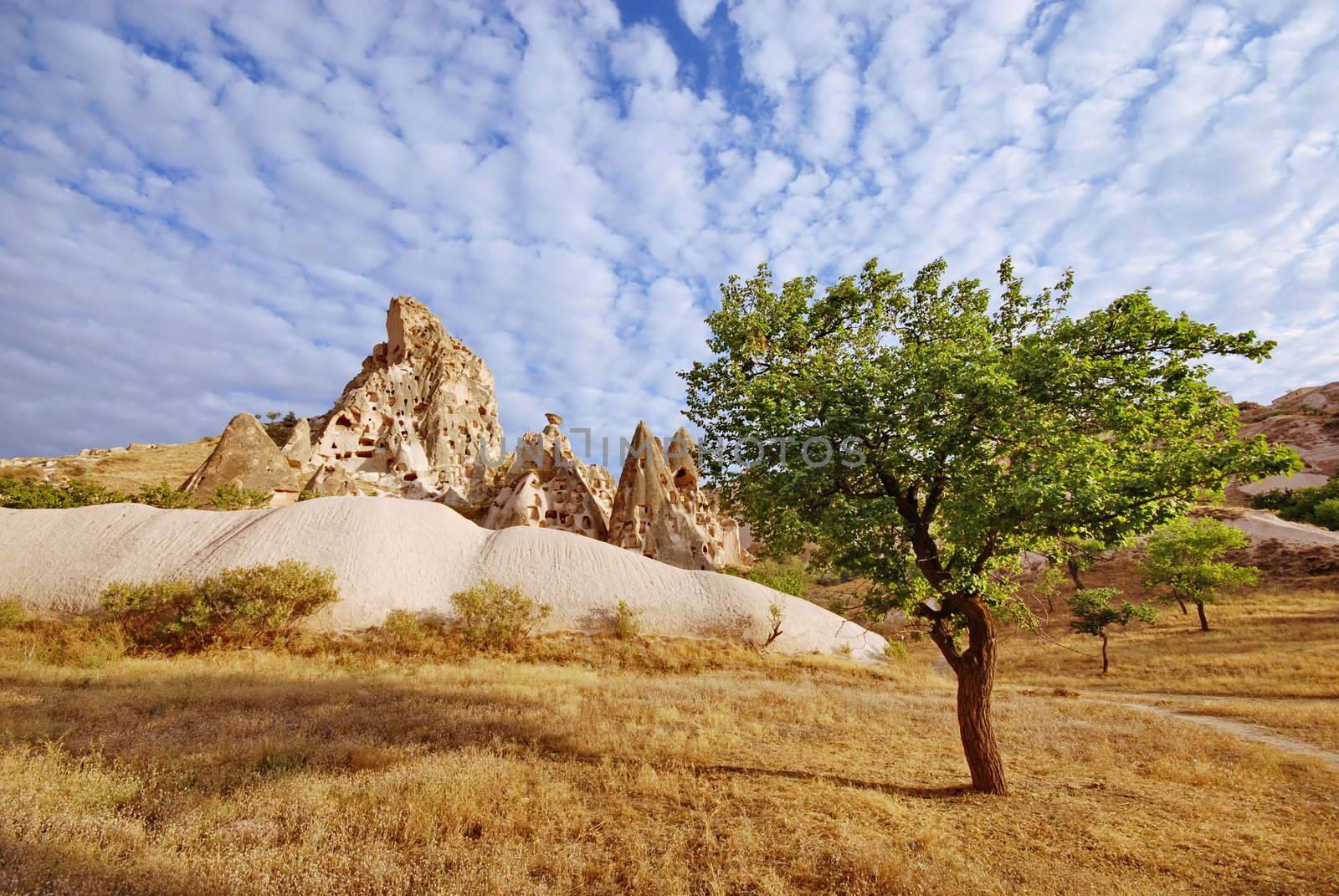 Amazing stone formations, Cappadocia, Turkey