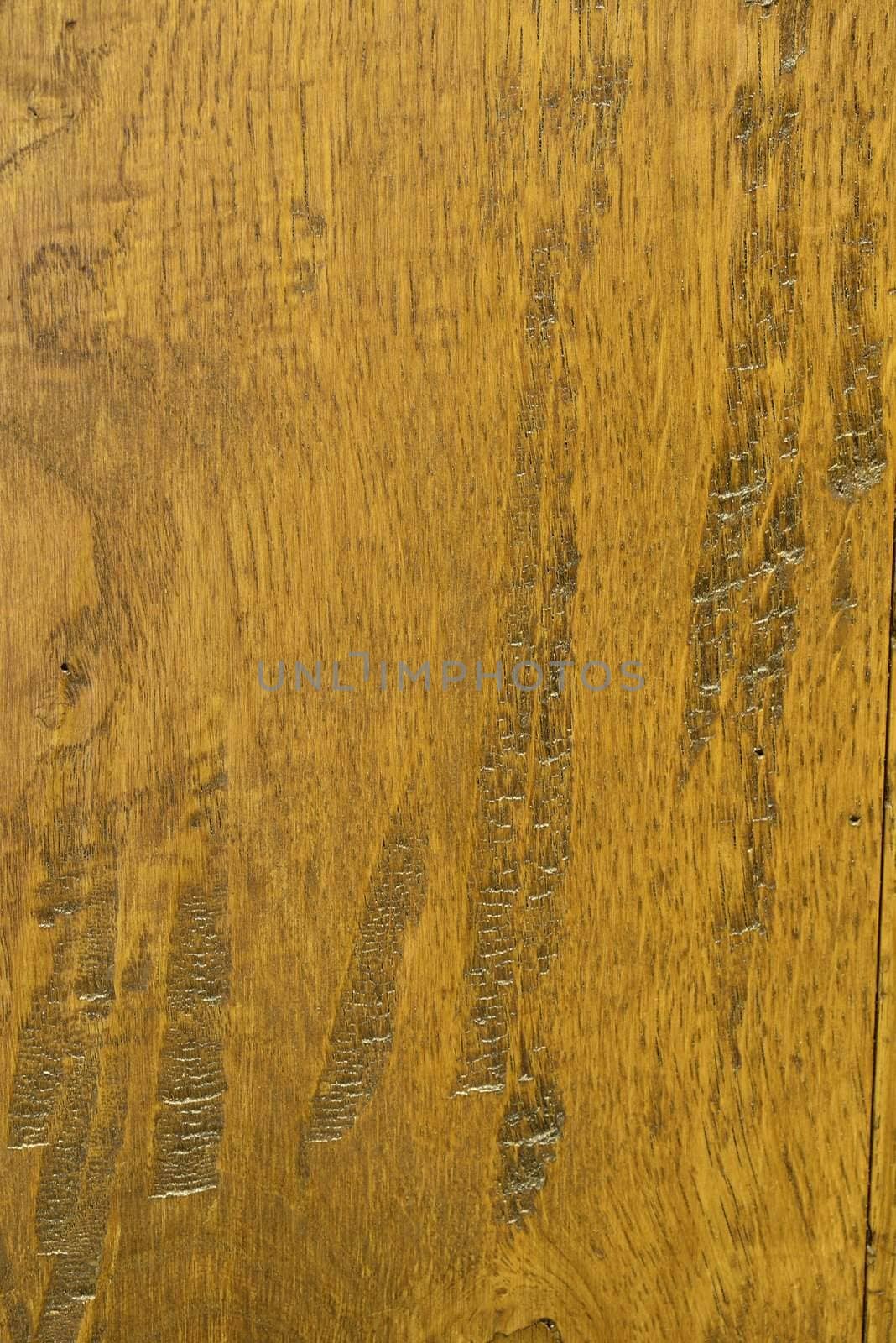 Wood Texture  by mizio1970