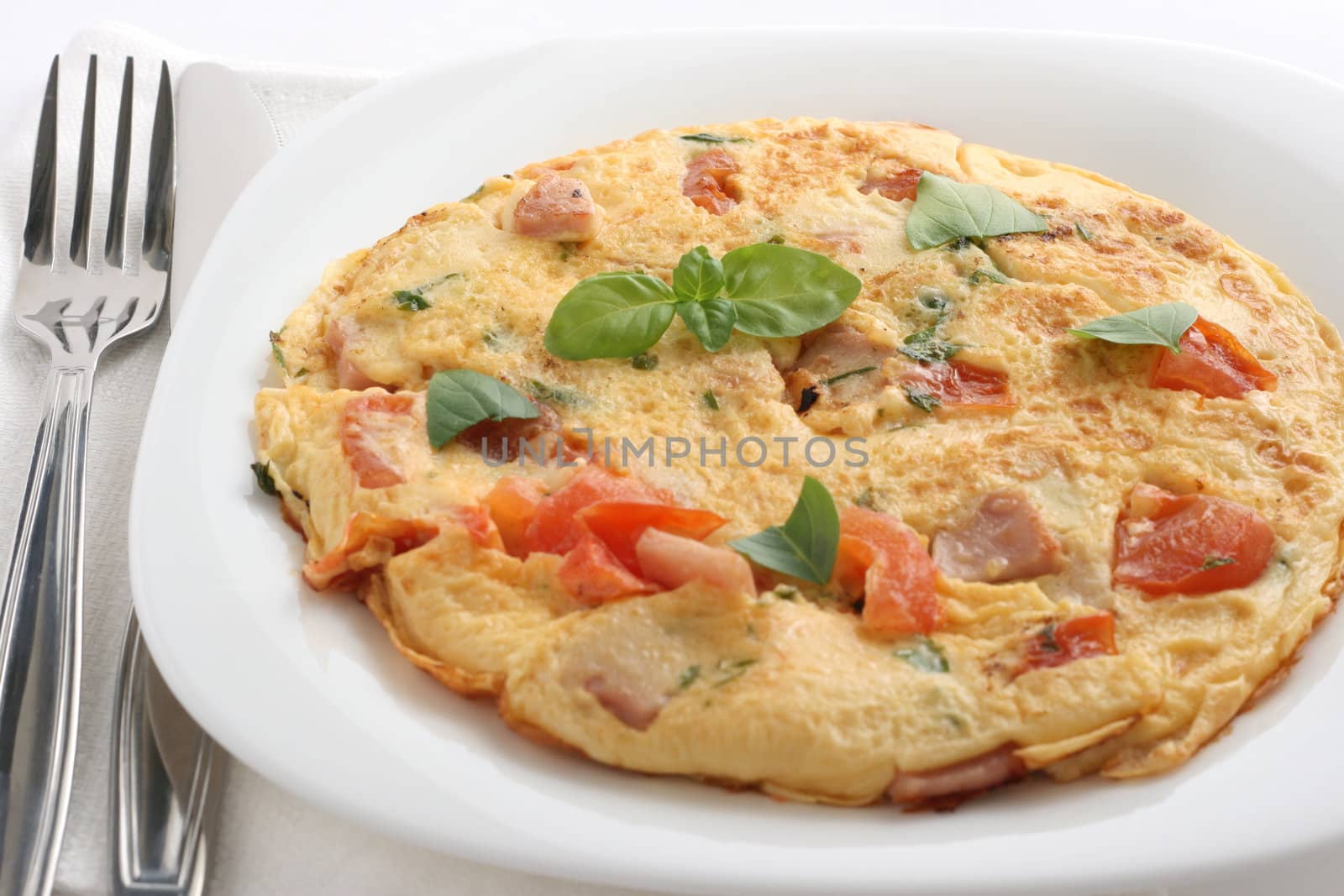 omelet on the plate by nataliamylova