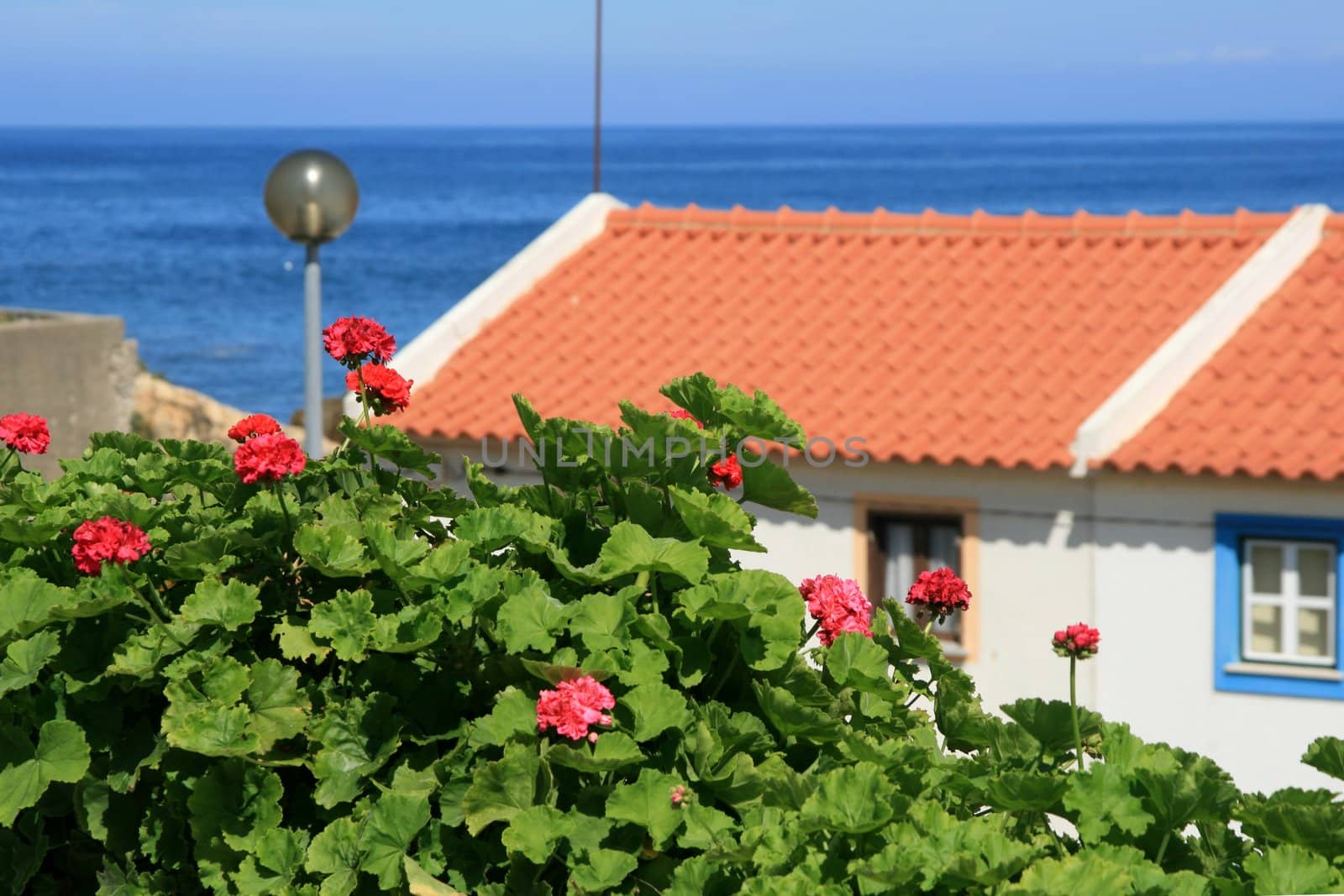 View on roof and ocean by nataliamylova