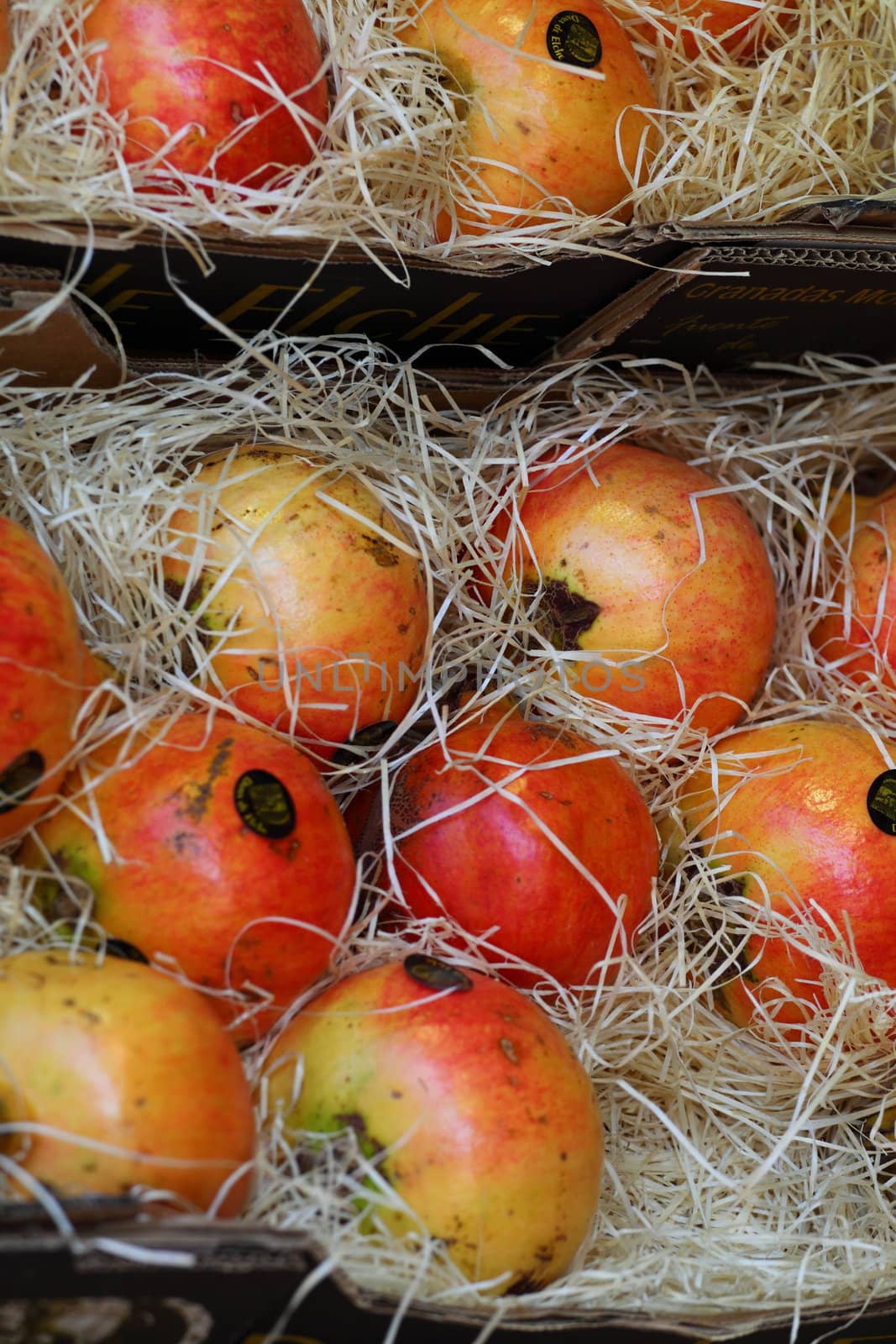 Pomegranates fruits