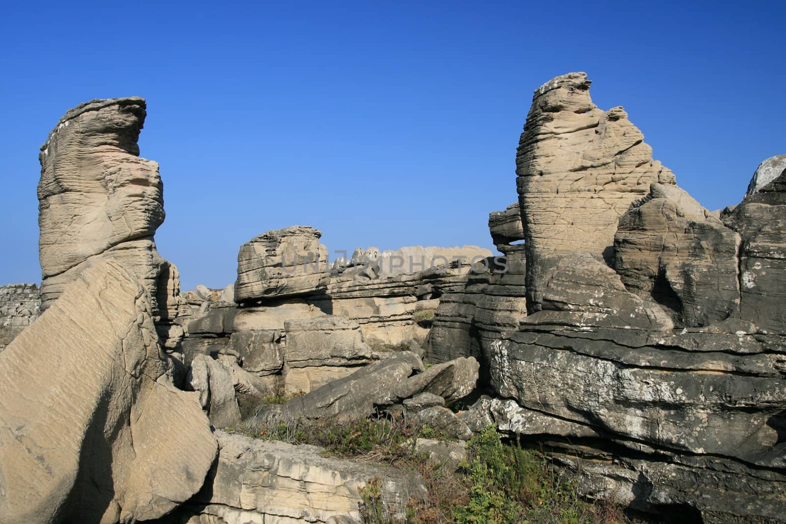 View on rocks and ocean