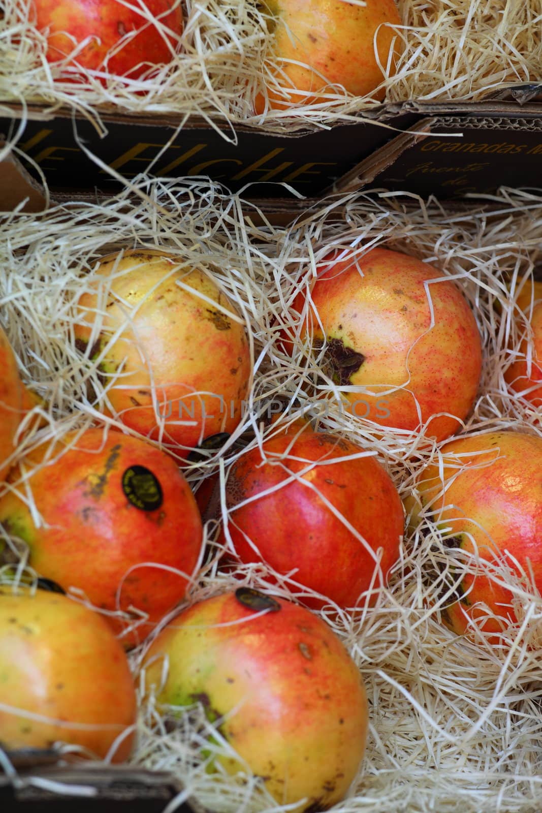Pomegranates fruits by mariusz_prusaczyk