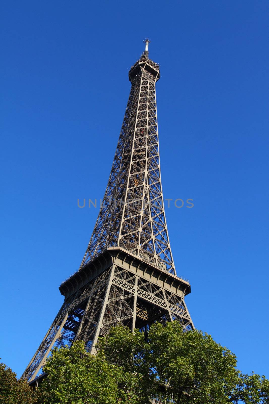 Famous Eiffel Tower of Paris by mariusz_prusaczyk