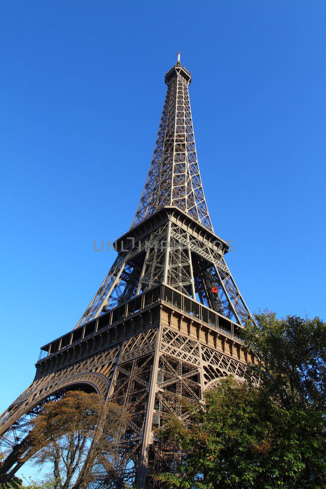 Famous Eiffel Tower of Paris  by mariusz_prusaczyk