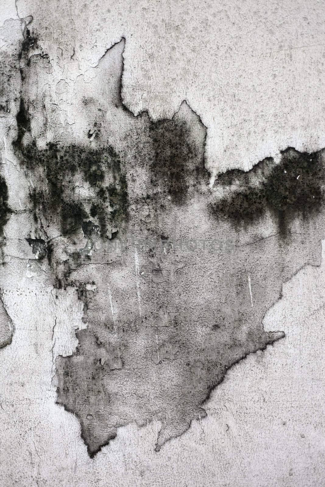 The Grunge cracked concrete wall for design