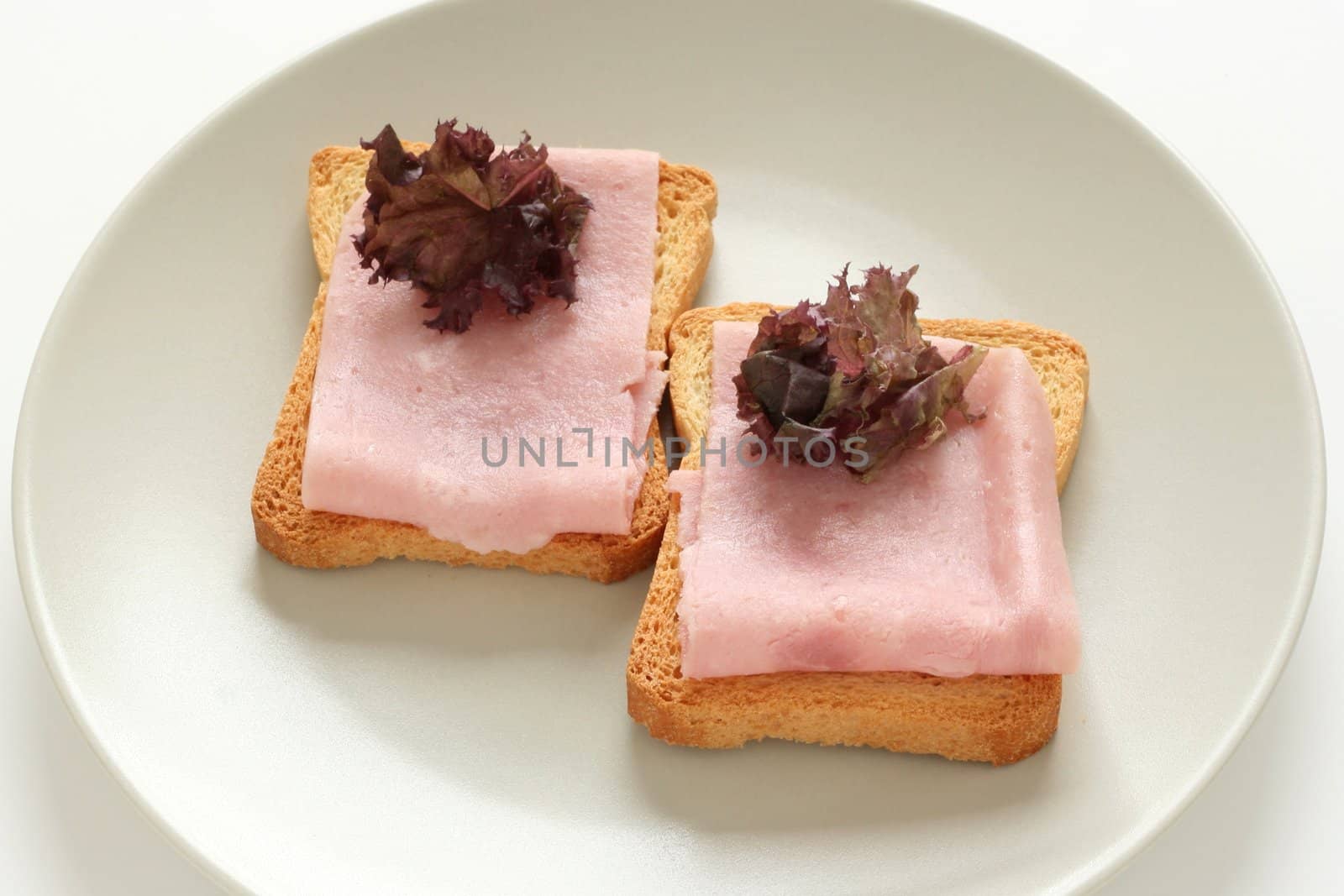 Toasts with ham