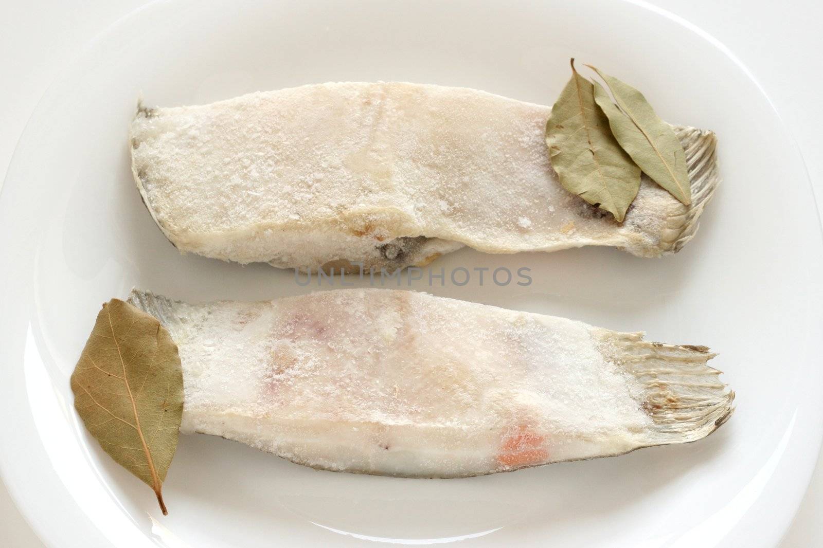 frozen flounder