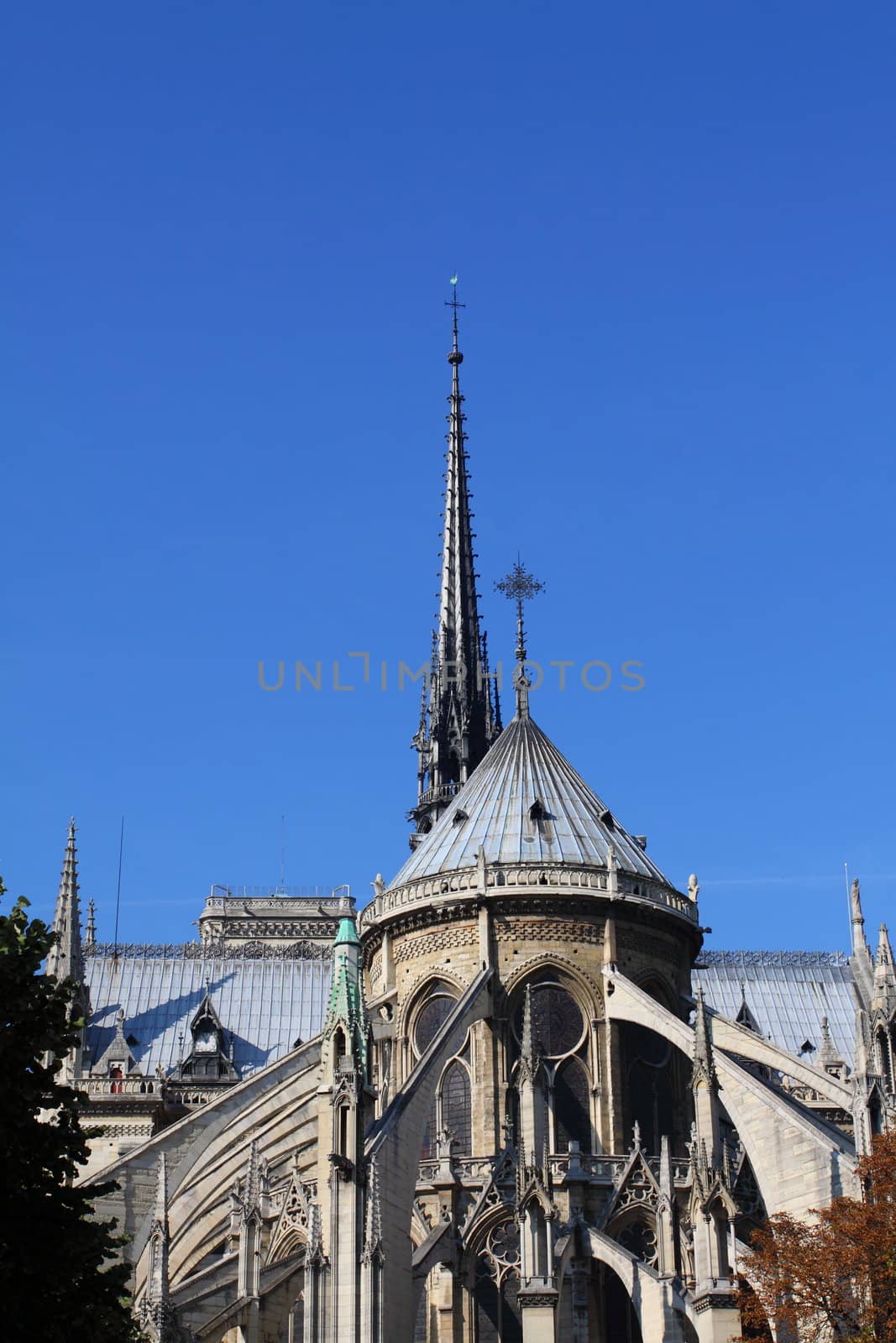 Notre Dame Cathedral - Paris by mariusz_prusaczyk