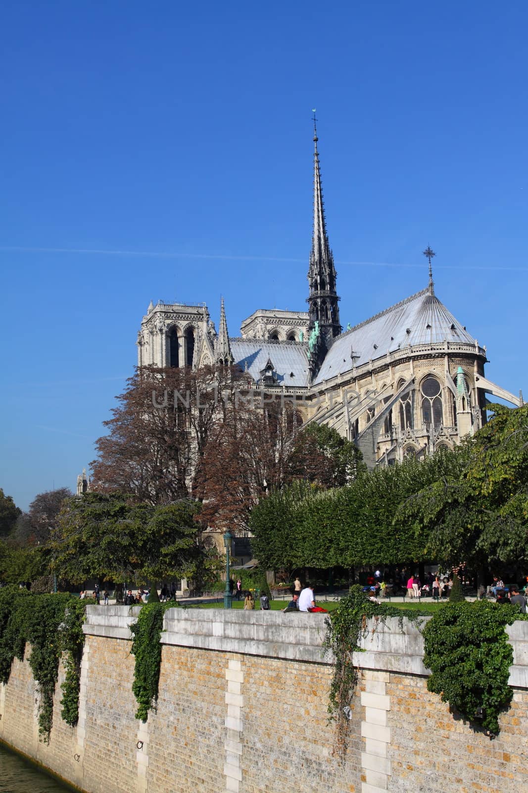 Notre Dame Cathedral - Paris