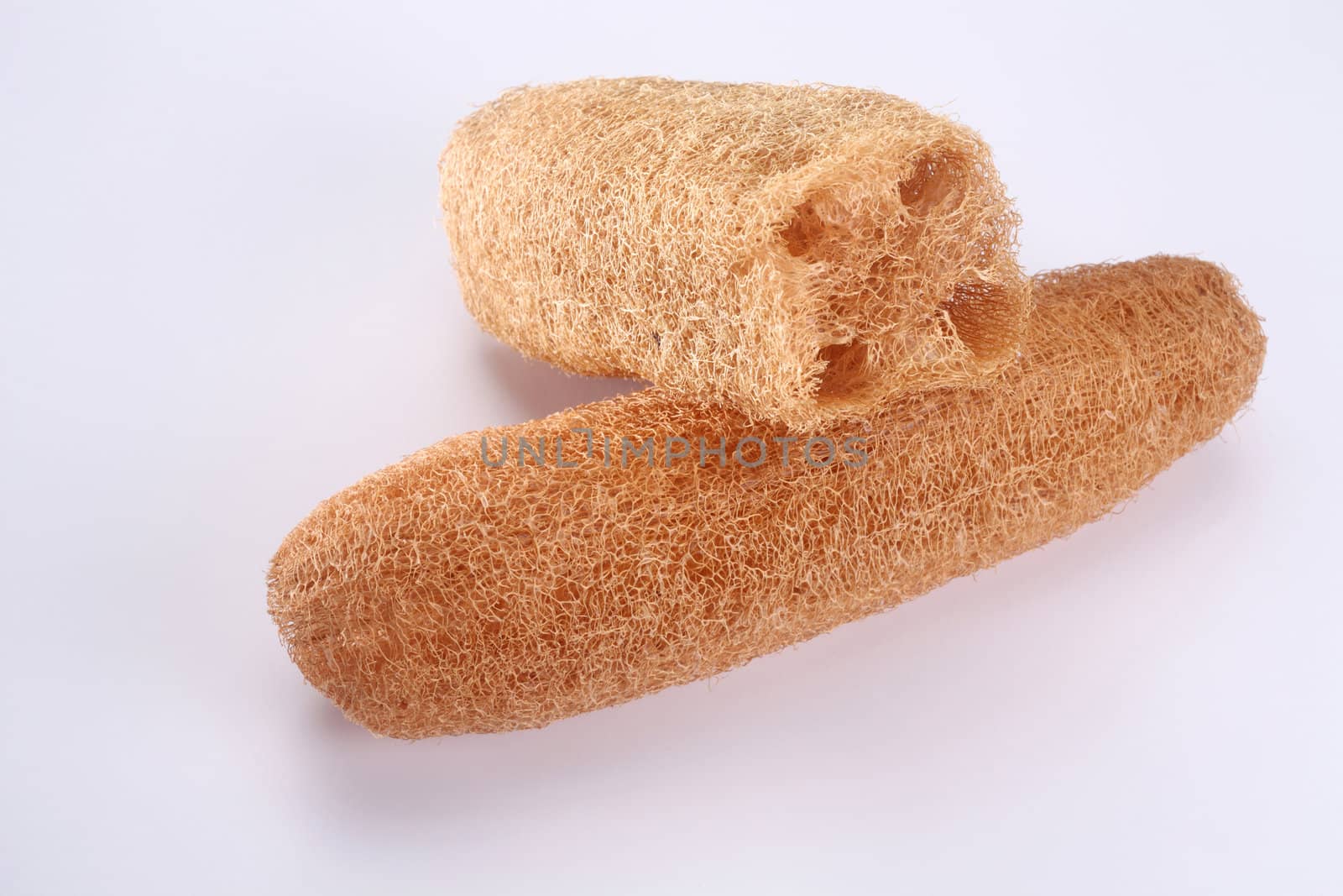 close of the loofah on the white background